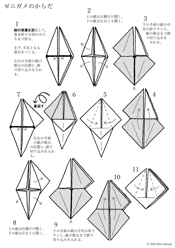 O-p-0007zenigame4-w