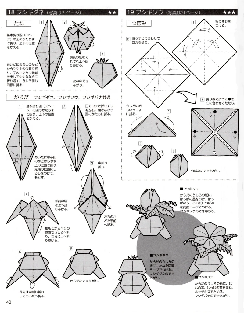 フシギダネbook
