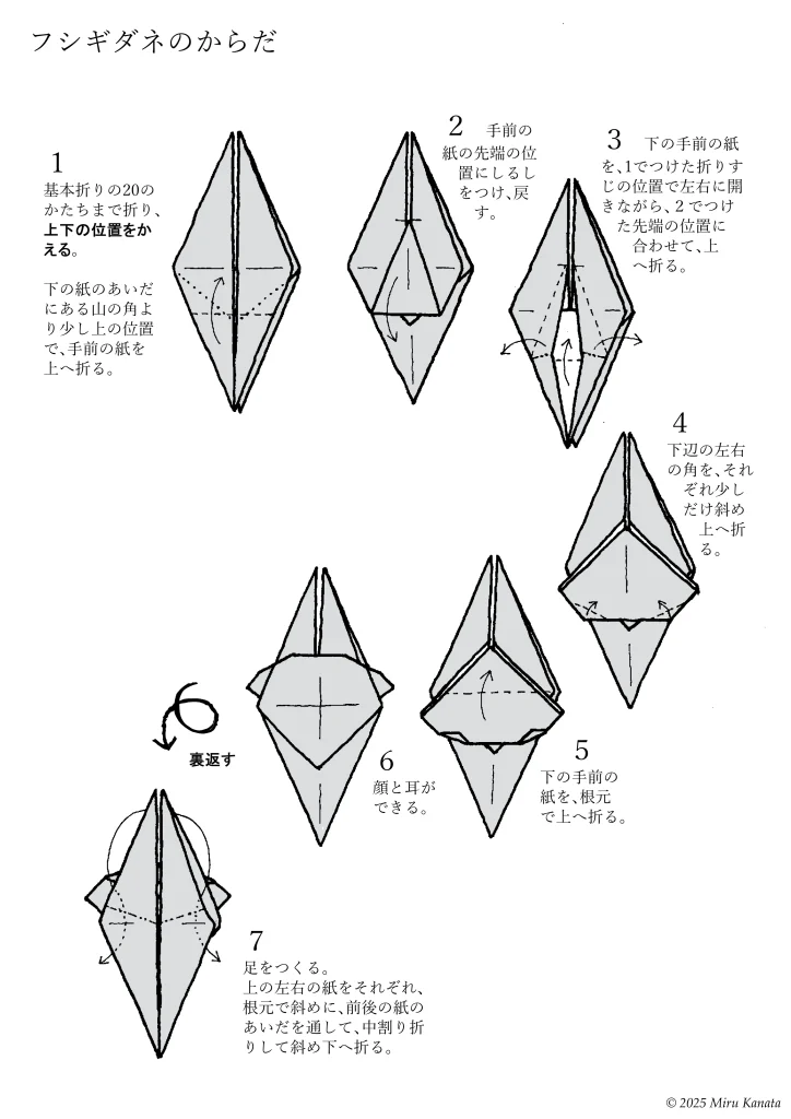 フシギダネ1