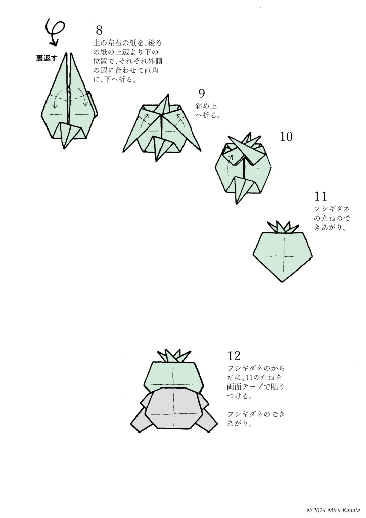 フシギダネ4