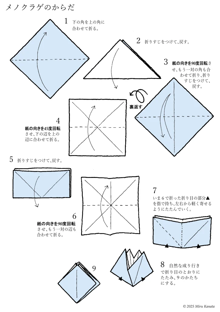 メノクラゲ1