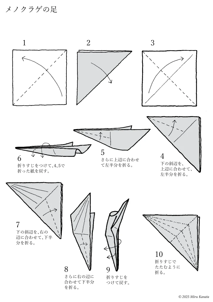 メノクラゲ4