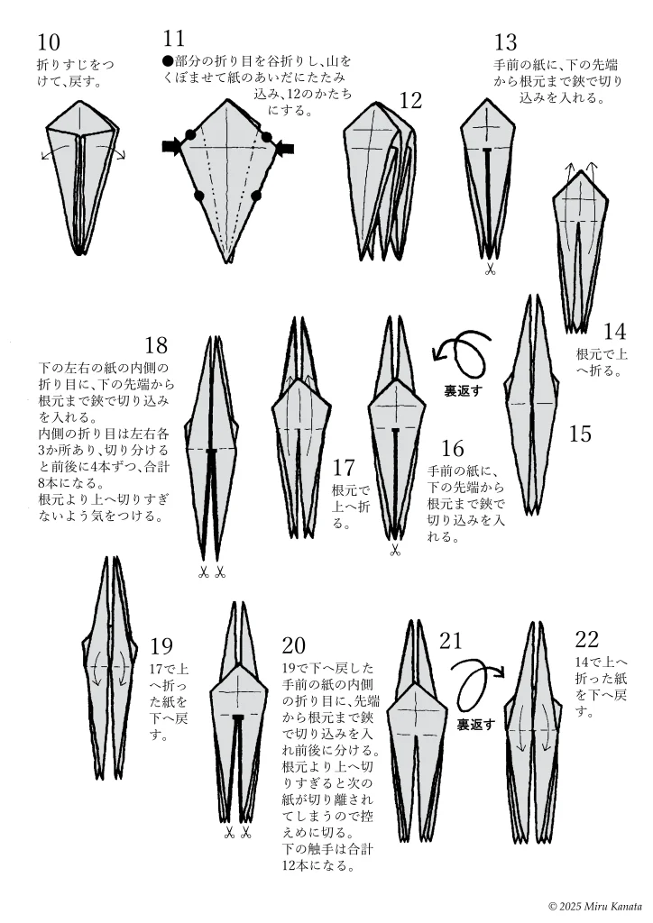 ドククラゲ4