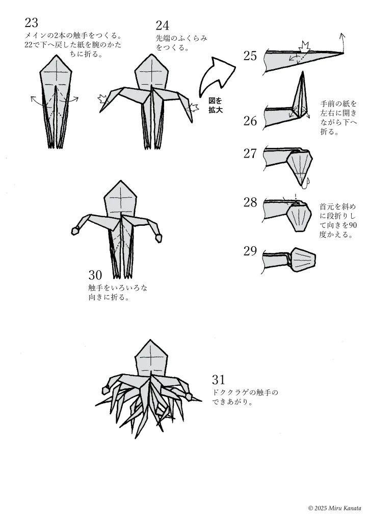 ドククラゲ5