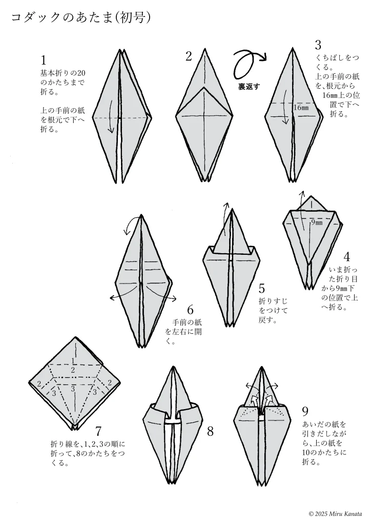 コダック1