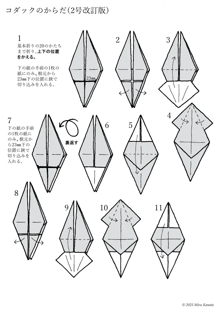 コダック2号5