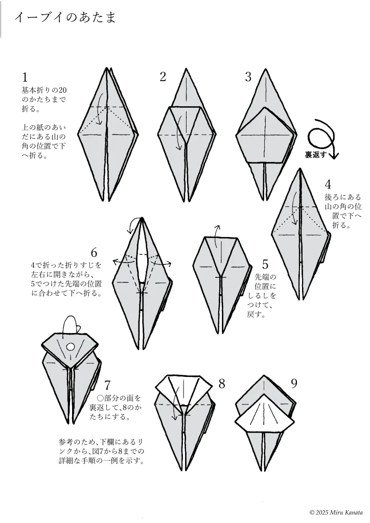 イーブイ1