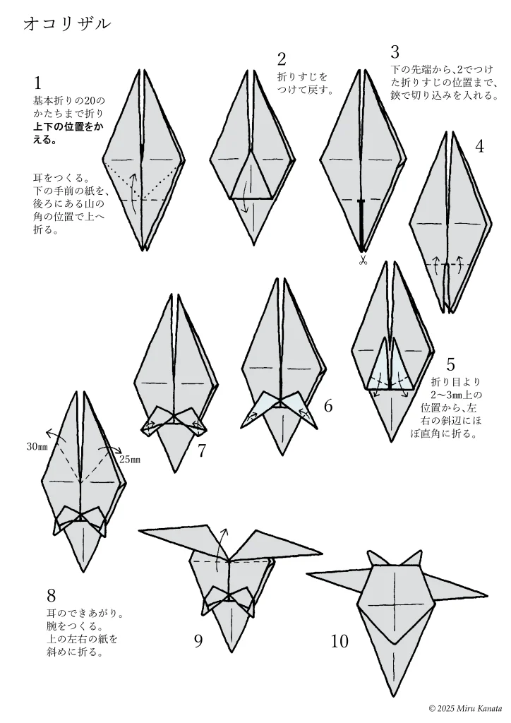 オコリザル1