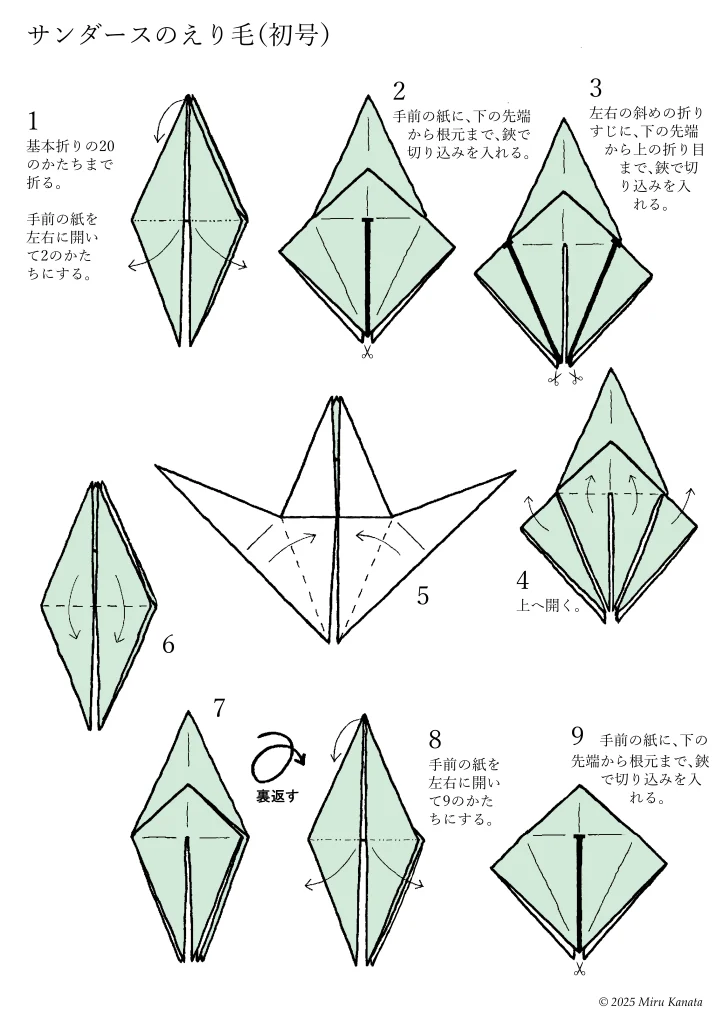サンダース6