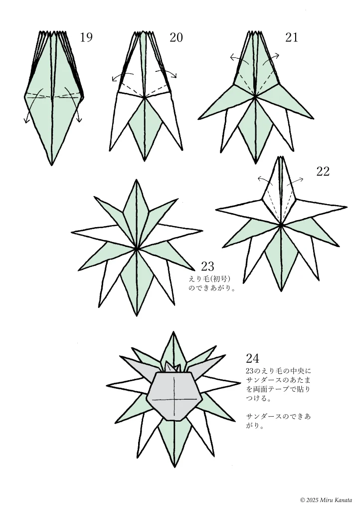 サンダース8