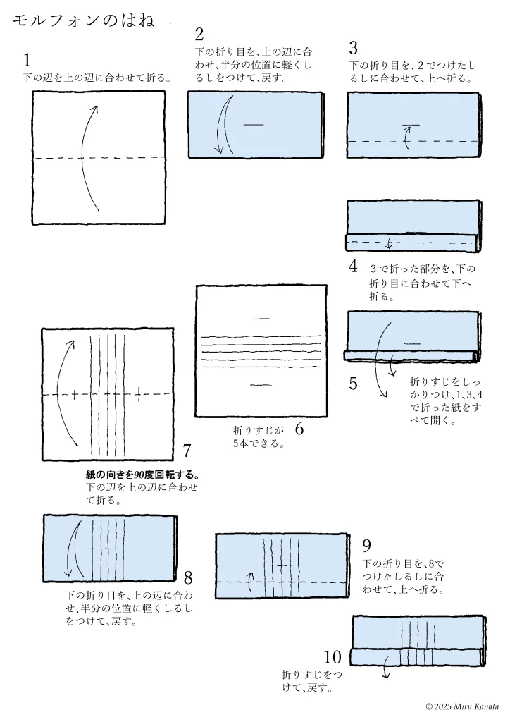モルフォンのはね1