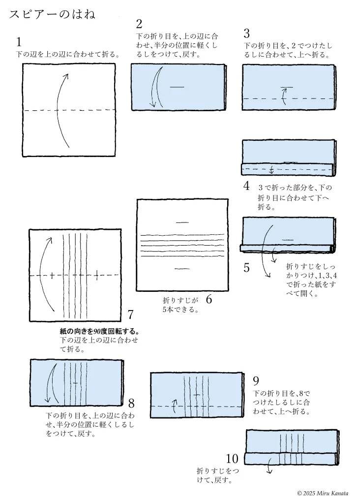 スピアーのはね1