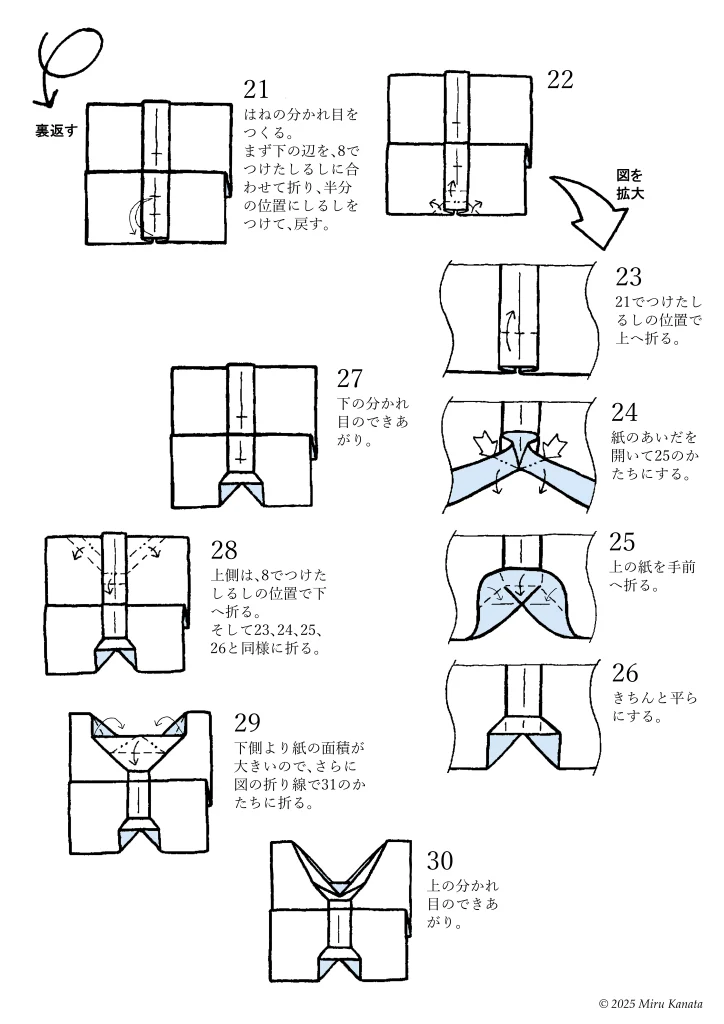 モルフォンのはね3