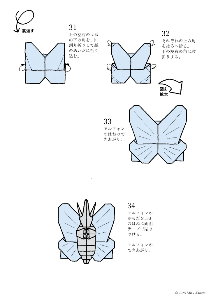 モルフォンのはね4