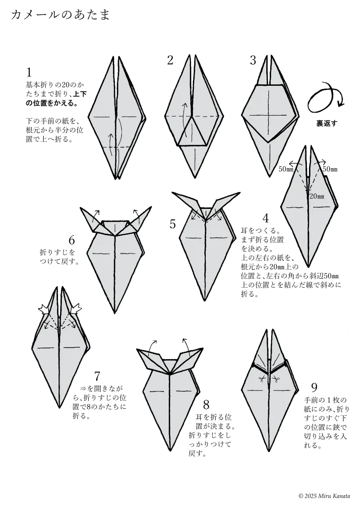 カメール1