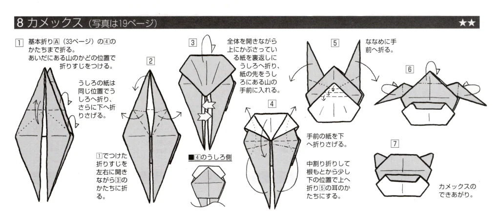 カメックスbook