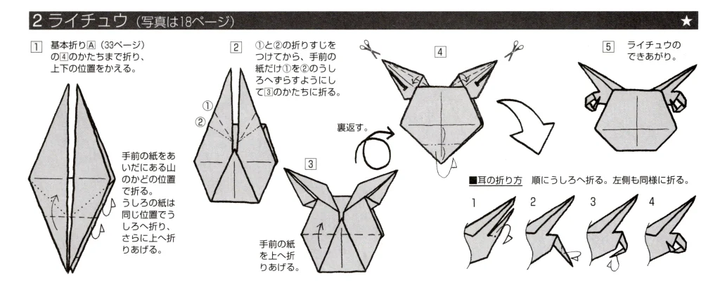 ライチュウbook