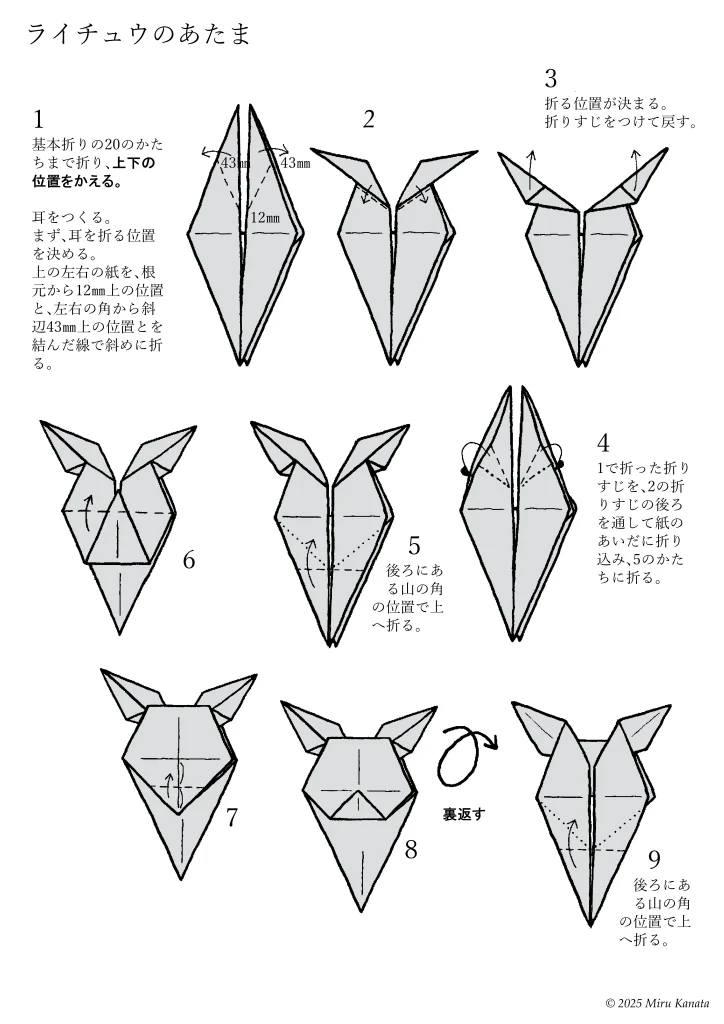 ライチュウ1