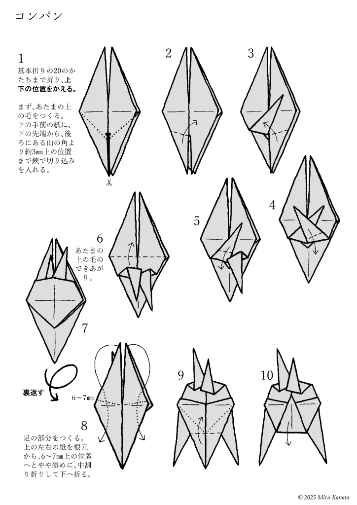 コンパン1