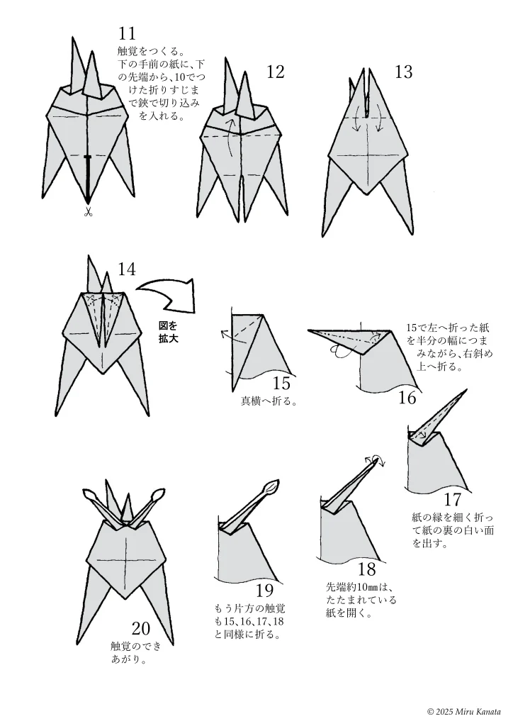 コンパン2