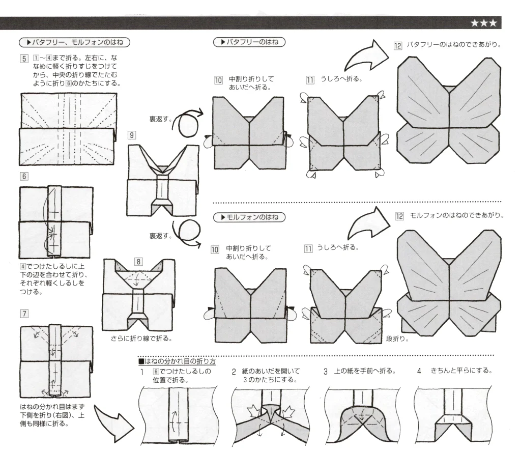 モルフォンbook3