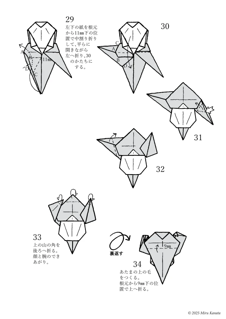 コダック2号4