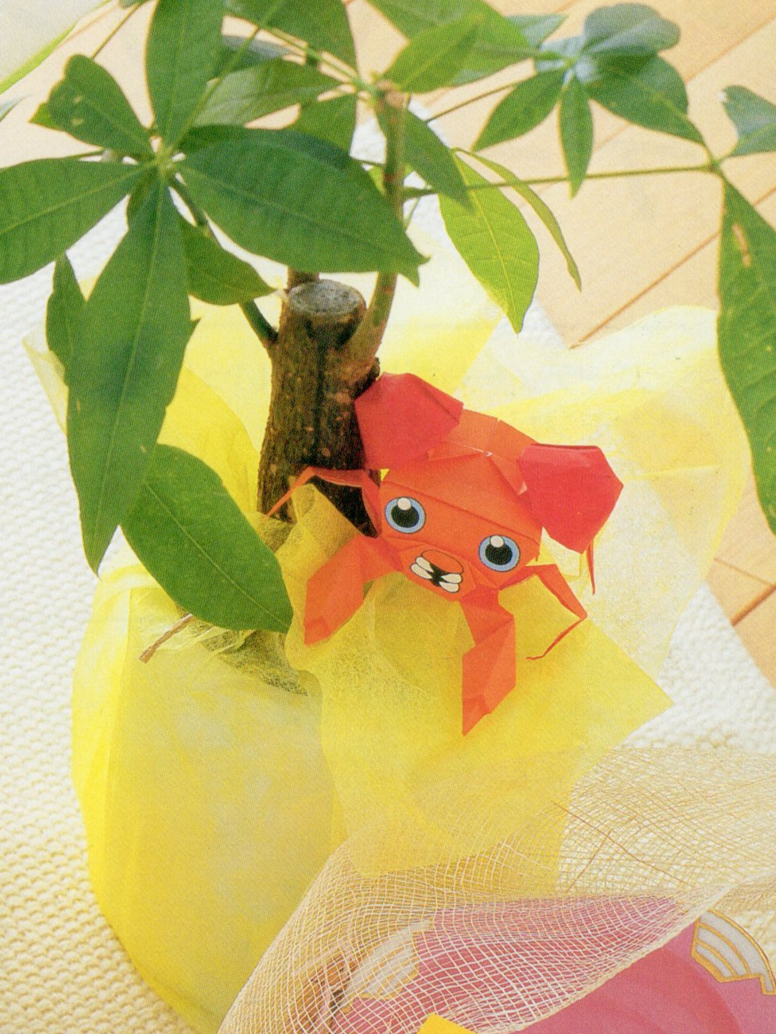グリーンのギフトにパラス