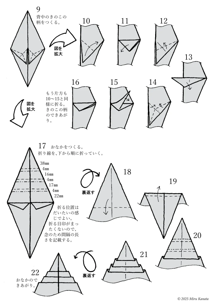 パラス5