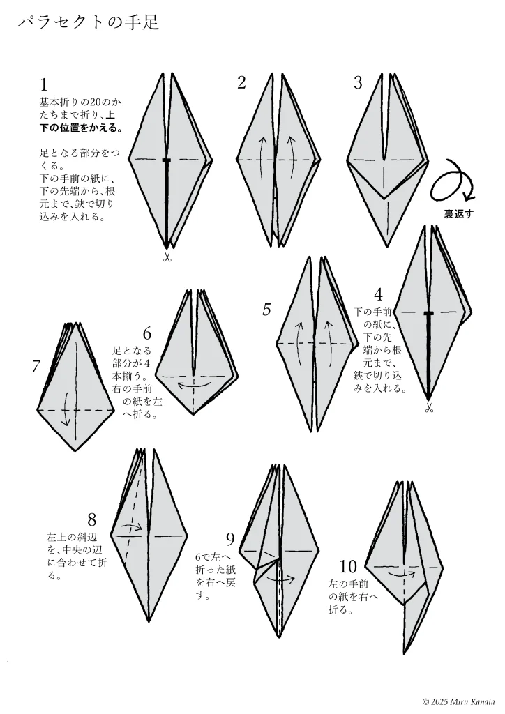 パラセクト1