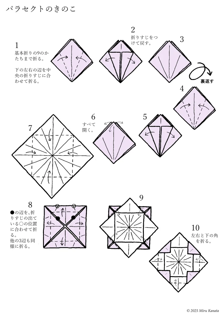 パラセクト4