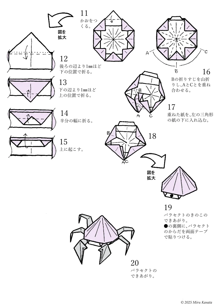 パラセクト5