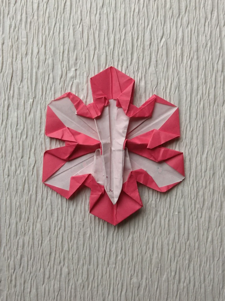 はなの裏側のかたち