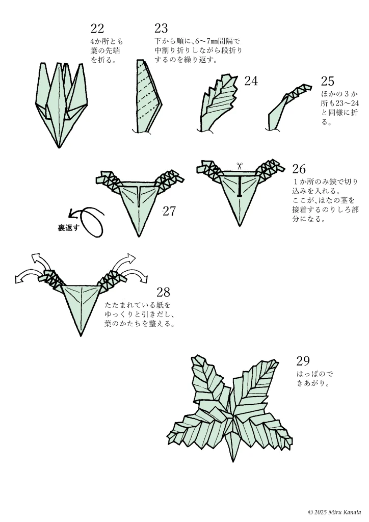 フシギバナ11