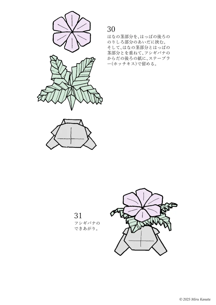 フシギバナ12