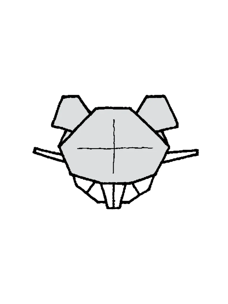 コラッタできあがり図