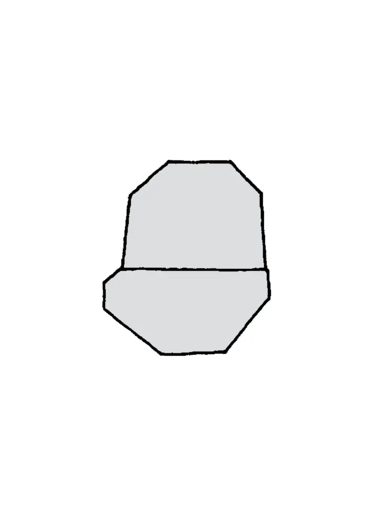 ヒトカゲのあたま3号できあがり図