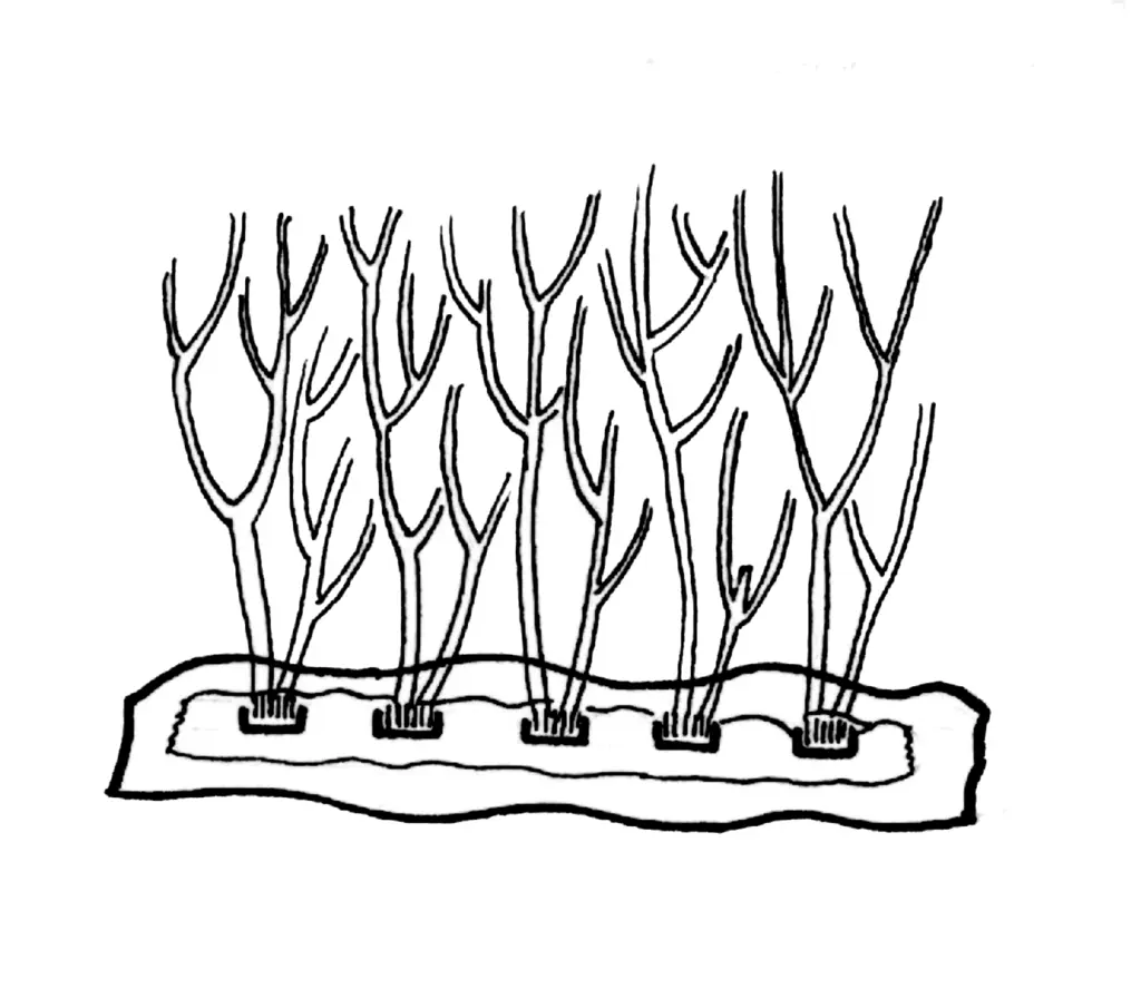 雪景色のセット