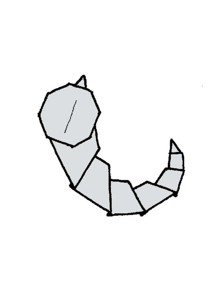 ビードルできあがり図