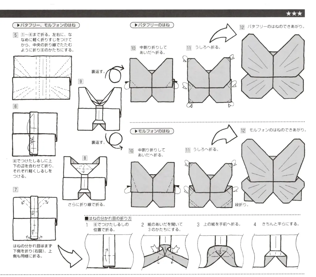 モルフォンbook3