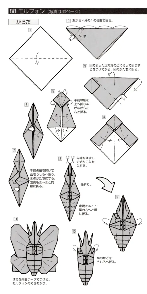 モルフォンbook1