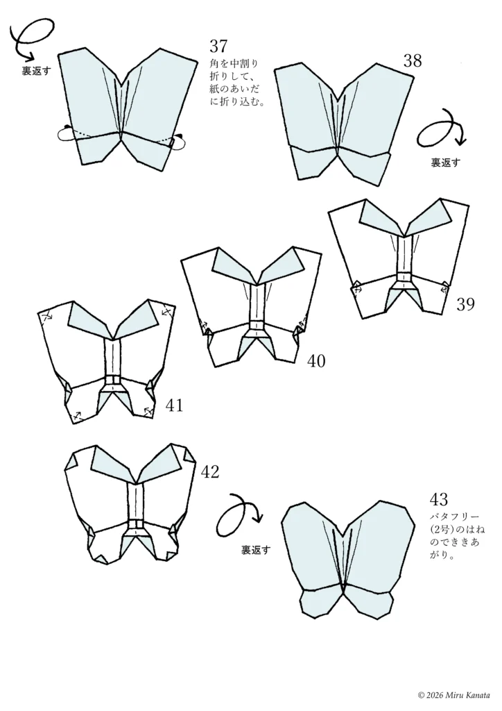 バタフリー02はね5
