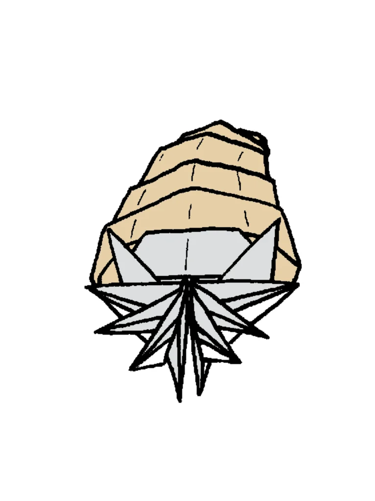 オムナイト(初号）できあがり図