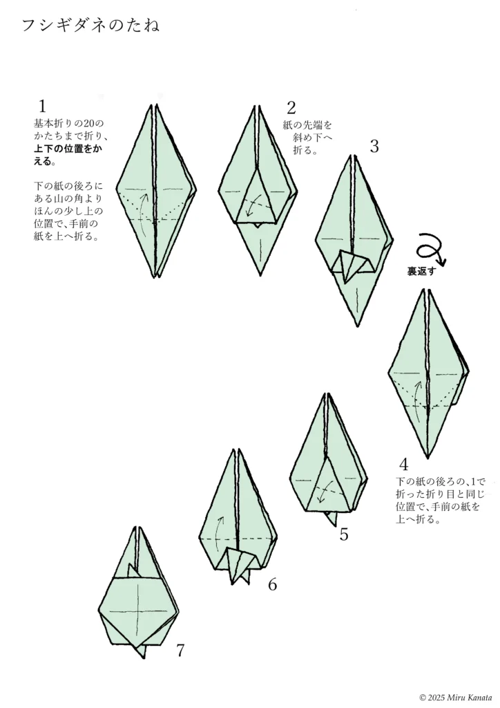 フシギダネ3