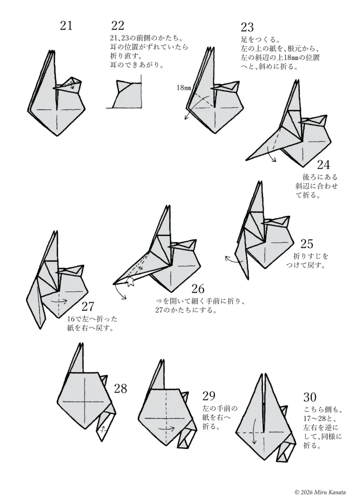 フシギソウ02-3