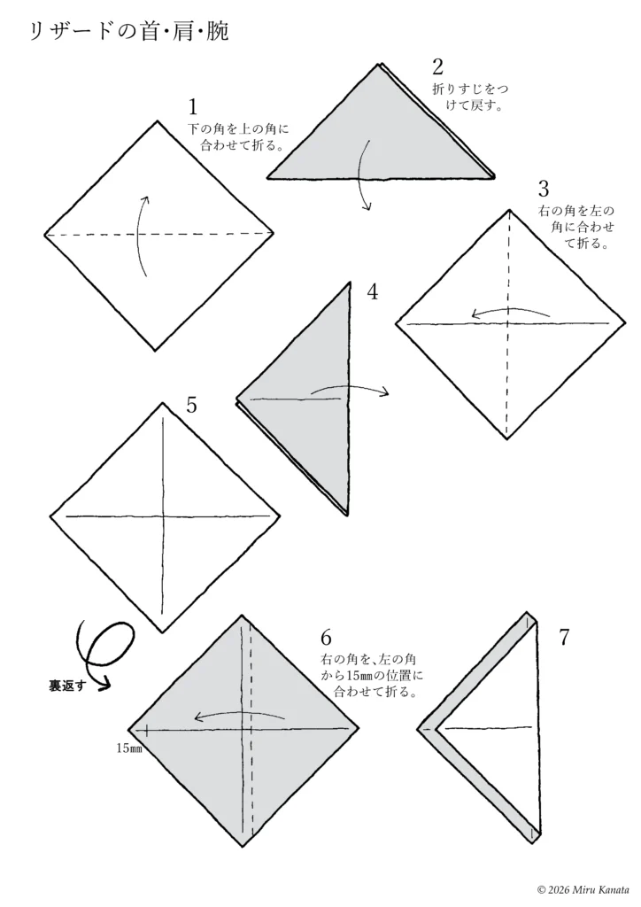 リザード5