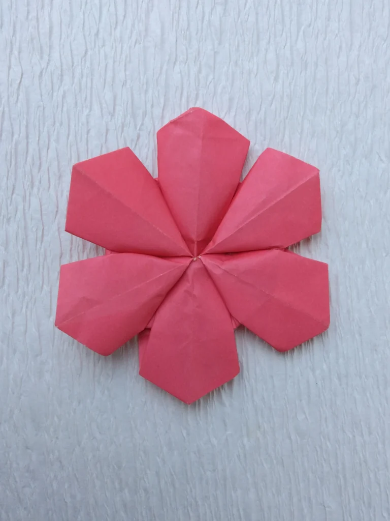 はなのかたち
