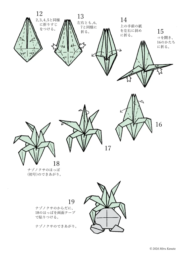 ナゾノクサa4