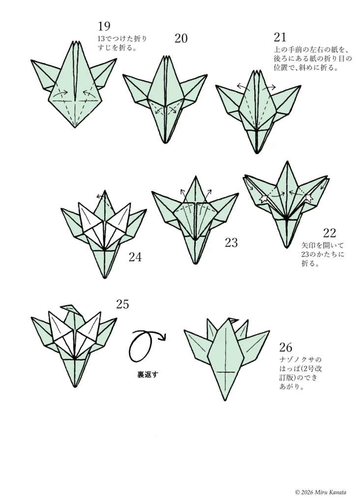 ナゾノクサb6