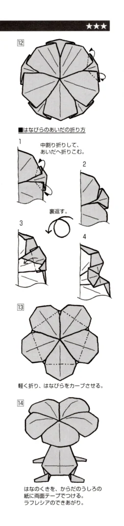 ラフレシアbook2