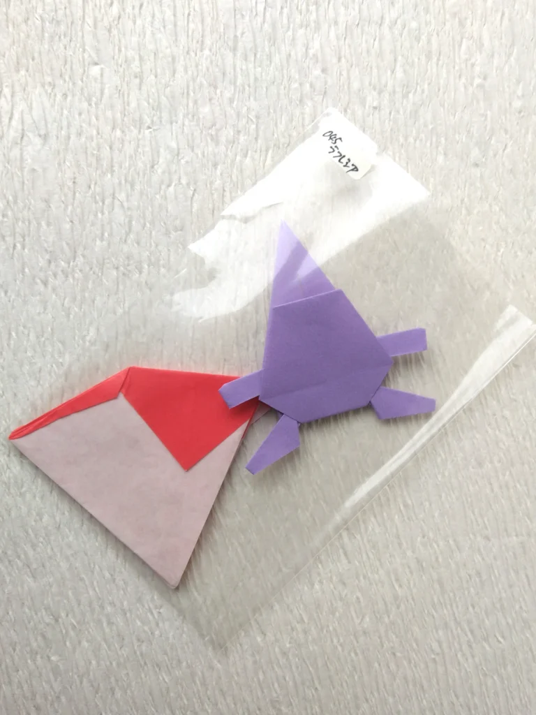 ラフレシア保管